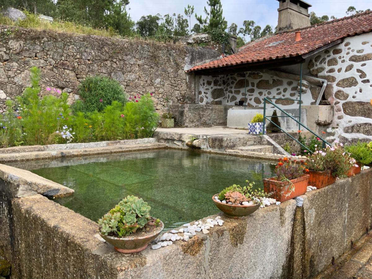Quinta Do Bravio Villa Barroselas Ngoại thất bức ảnh