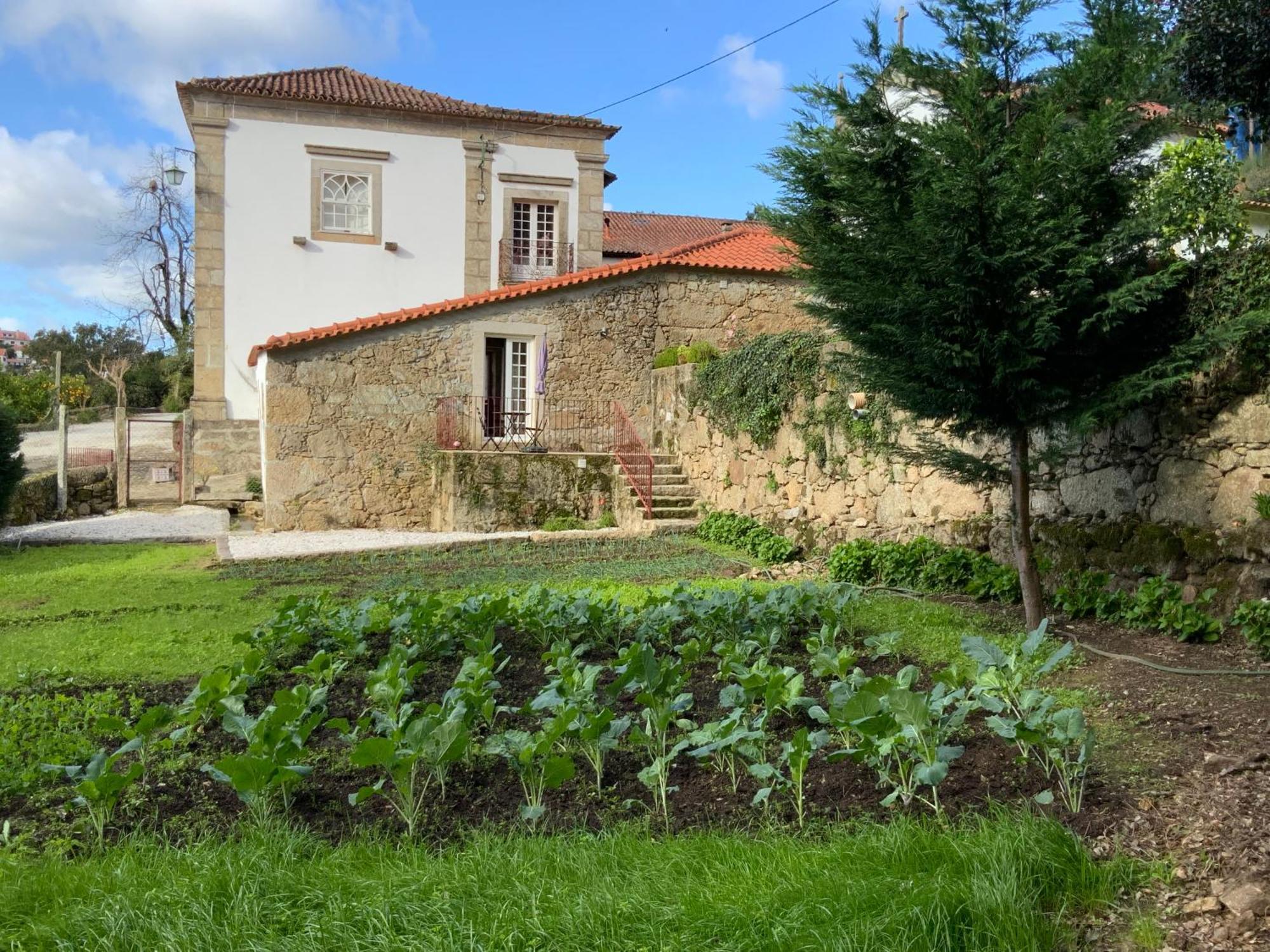 Quinta Do Bravio Villa Barroselas Ngoại thất bức ảnh