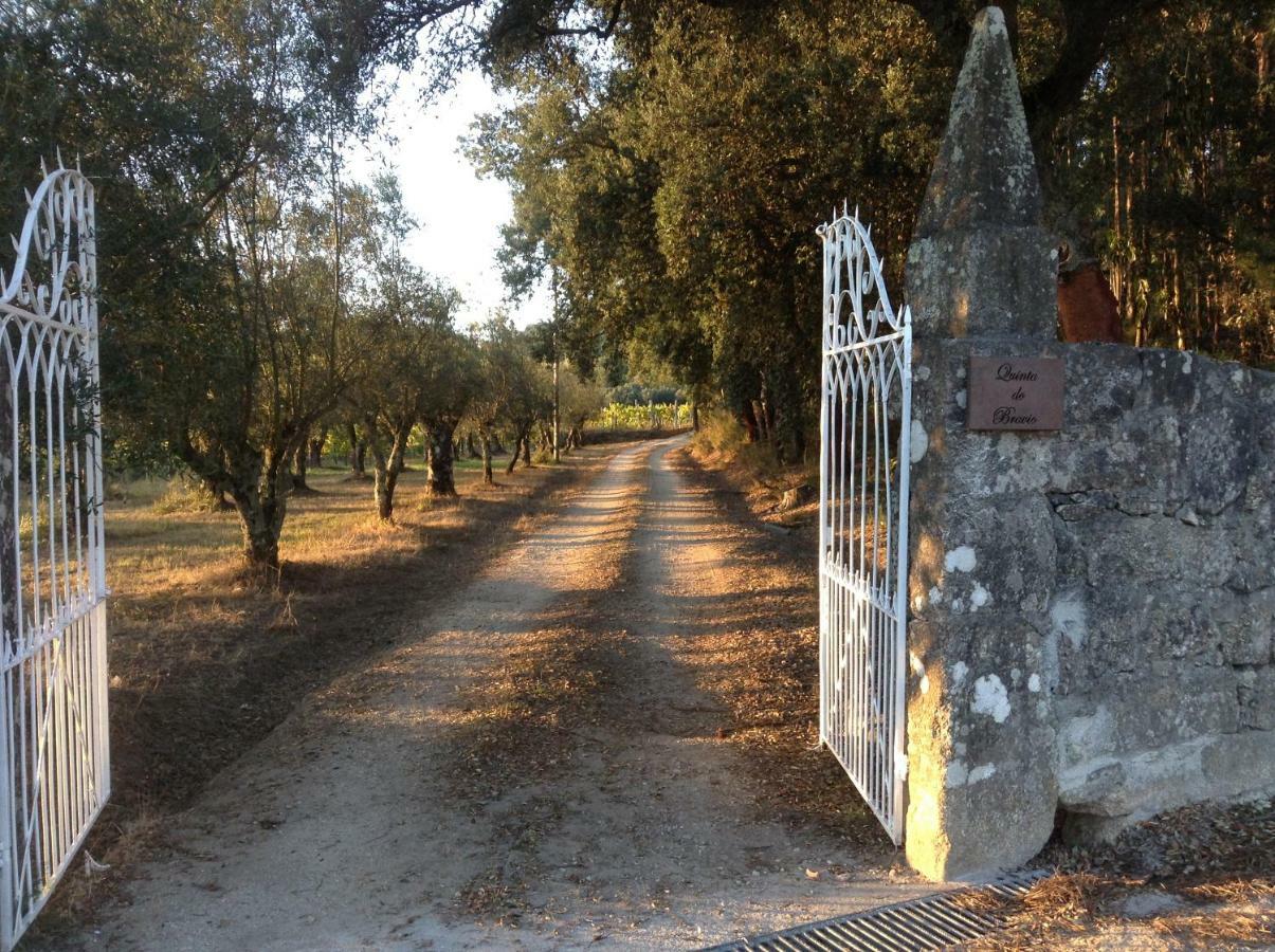 Quinta Do Bravio Villa Barroselas Ngoại thất bức ảnh